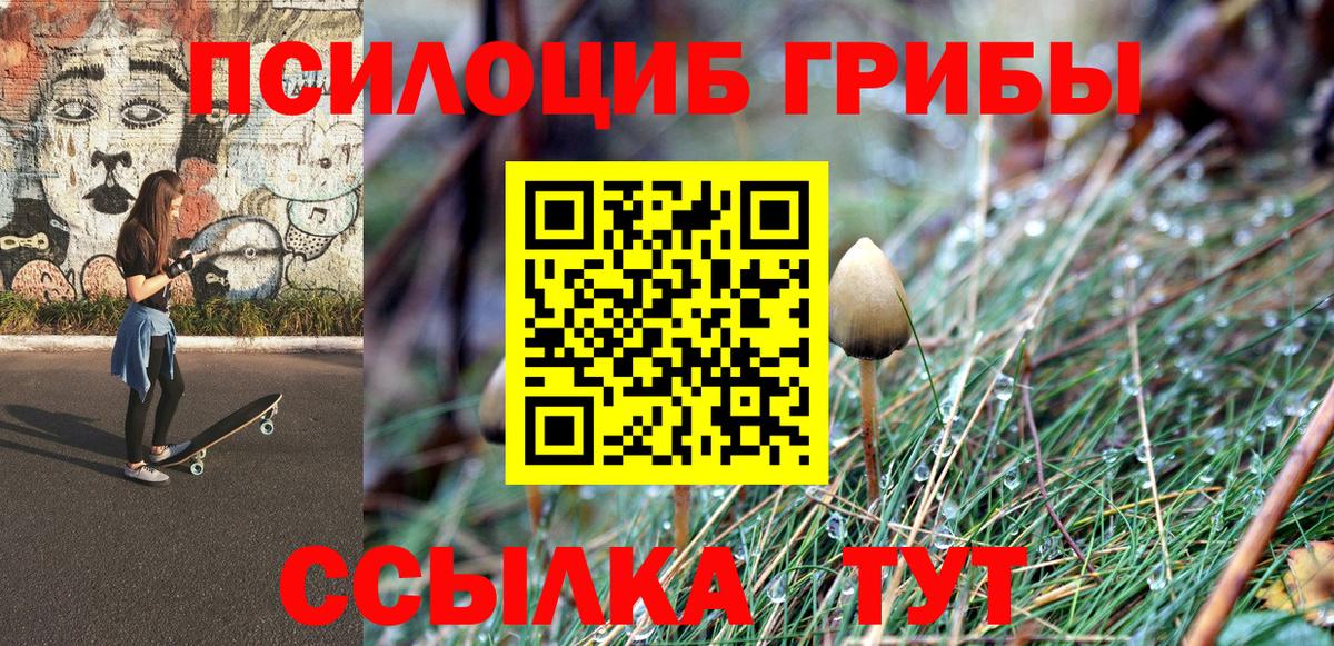 Псилоцибиновые грибы мухоморы  Галлюциногенные грибы GOLDEN TEACHER  Вход с VPN  Бузулук 